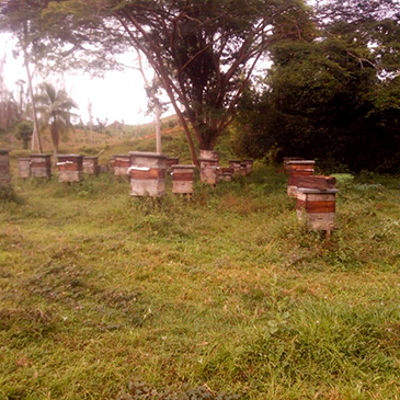 Imagen_3-400x400