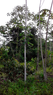 Imagen_7-225x400